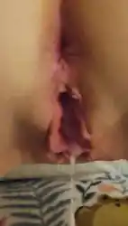 shaved-pussies