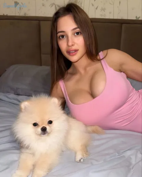 dress-pink-puppy