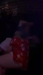 sneaky-porn