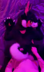 furry