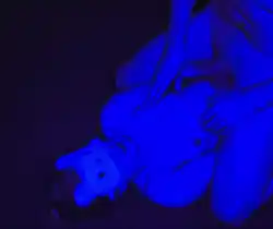 only-porn-nsfw