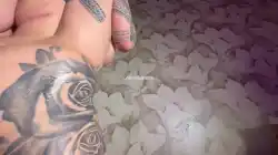 thick-bbw-babes