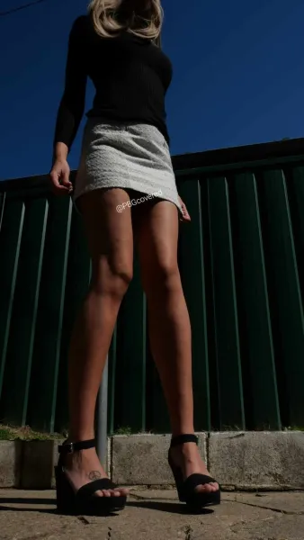 pbgcovered image
