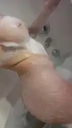 just-boobs
